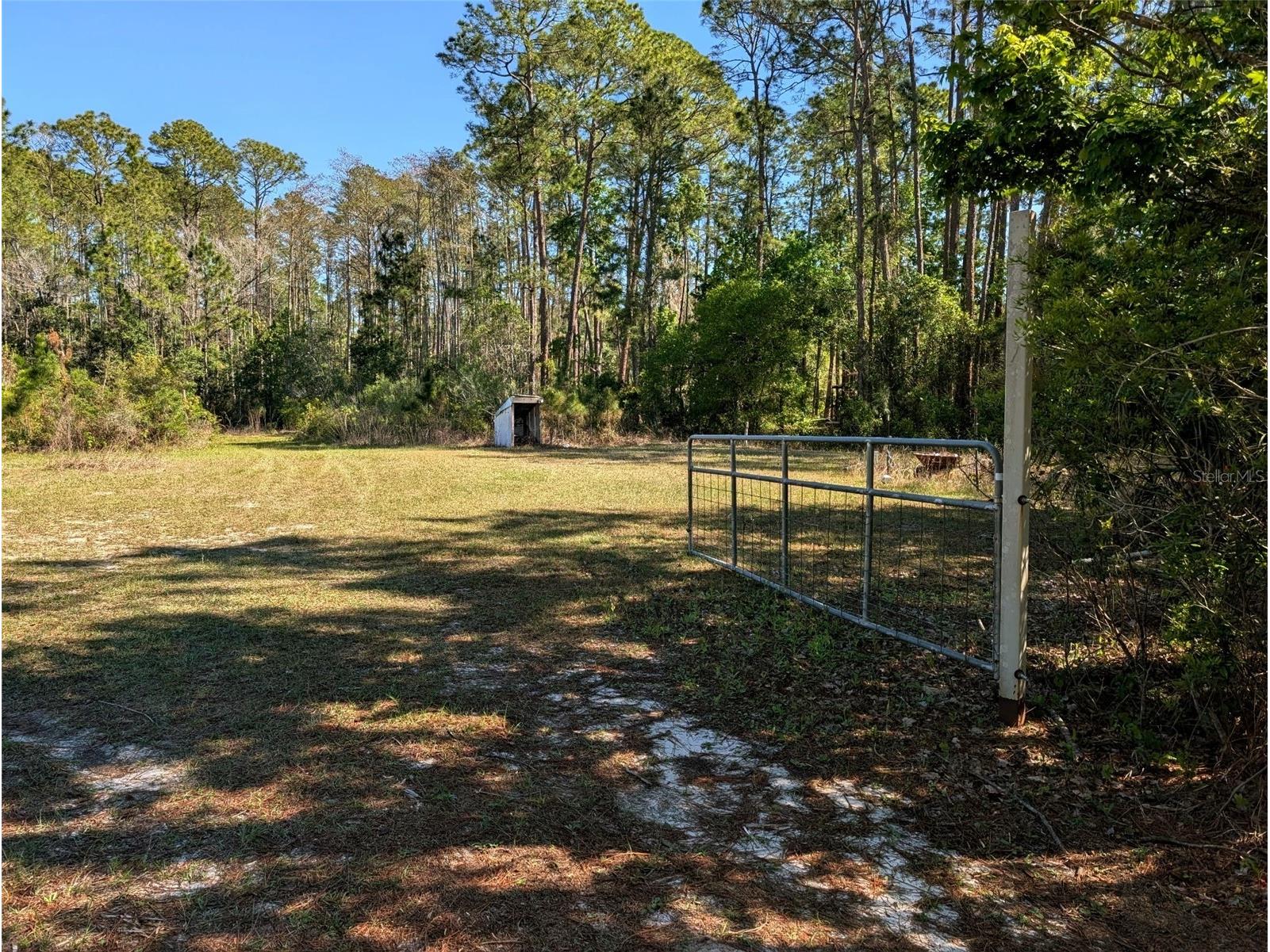 4914 Mahogany Boulevard Bunnell FL 32110 FC317139 image2