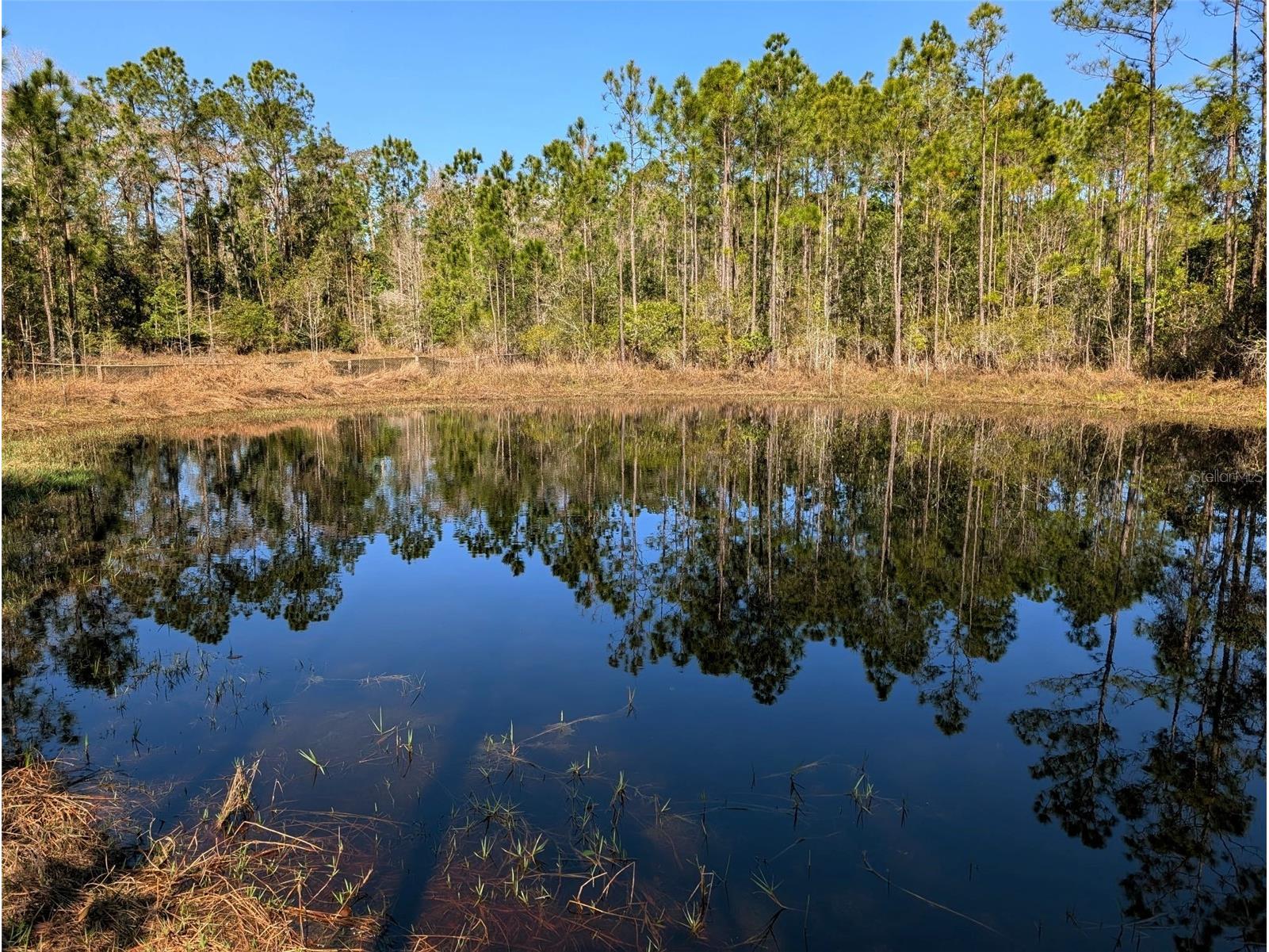 4914 Mahogany Boulevard Bunnell FL 32110 FC317139 image5