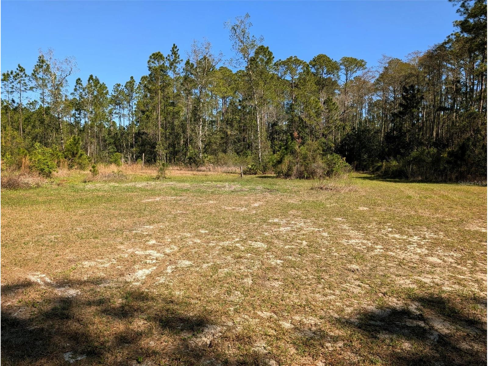 4914 Mahogany Boulevard Bunnell FL 32110 FC317139 image6