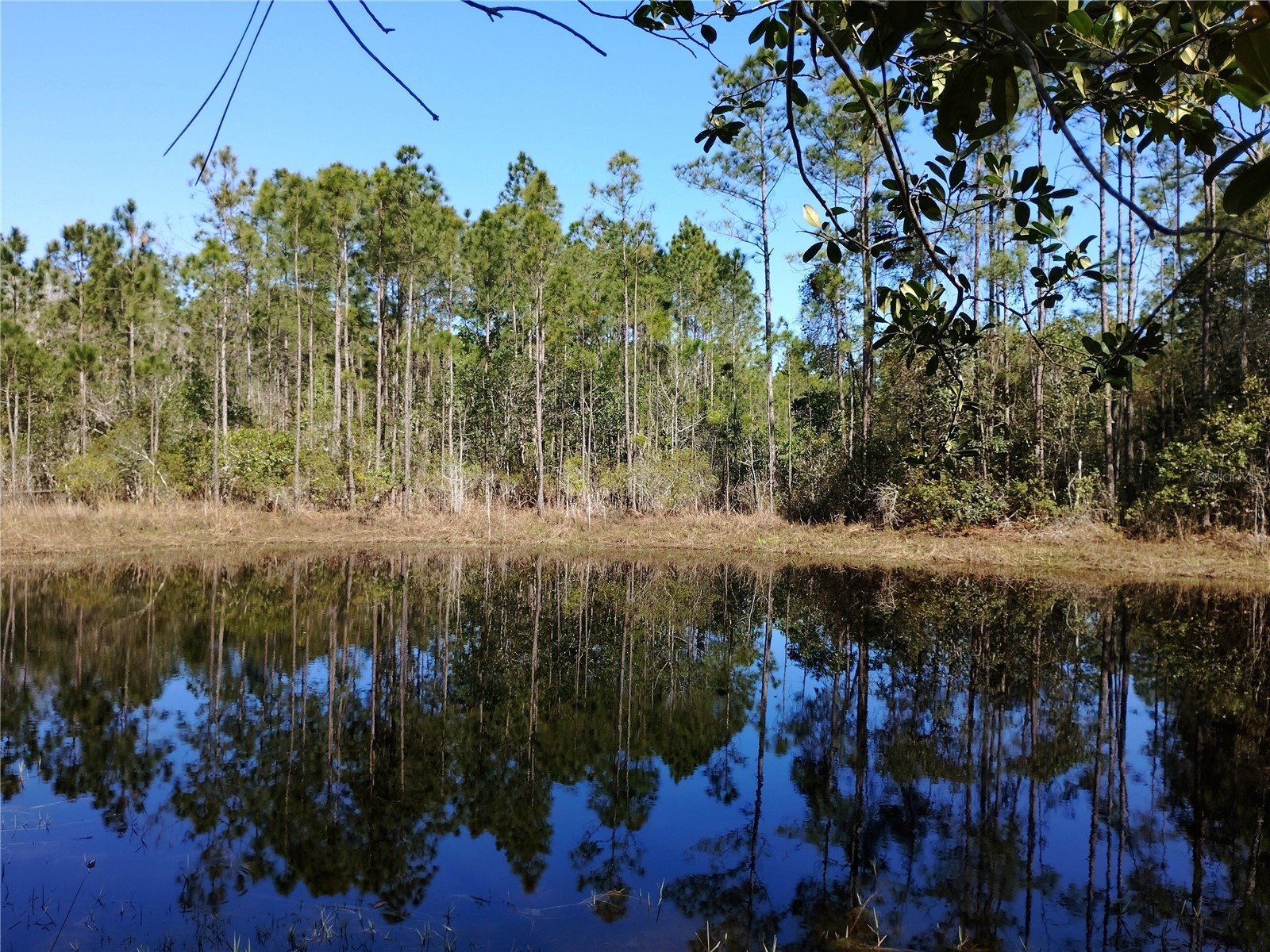 4914 Mahogany Boulevard Bunnell FL 32110 FC317139 image7