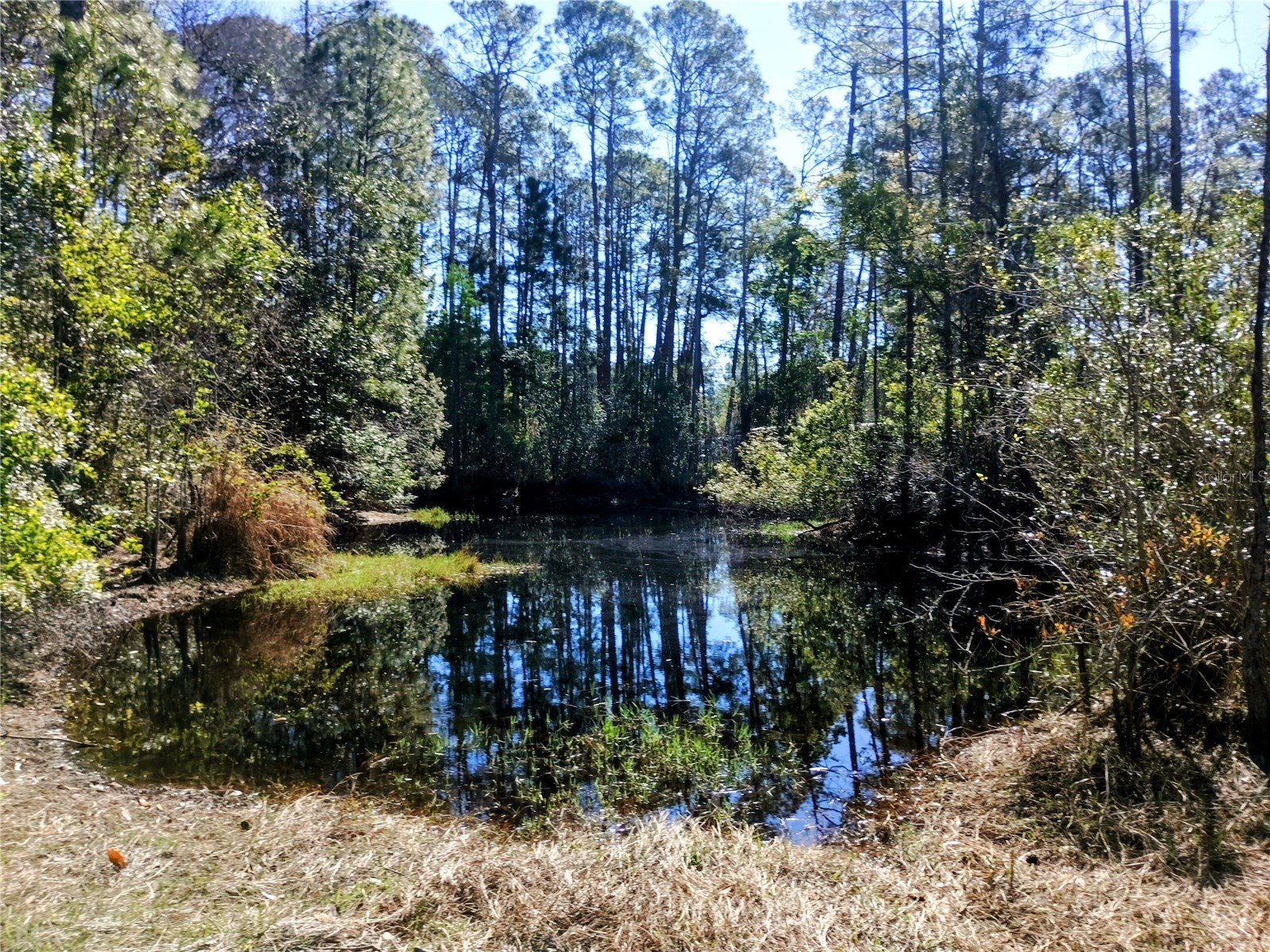 4914 Mahogany Boulevard Bunnell FL 32110 FC317139 image9