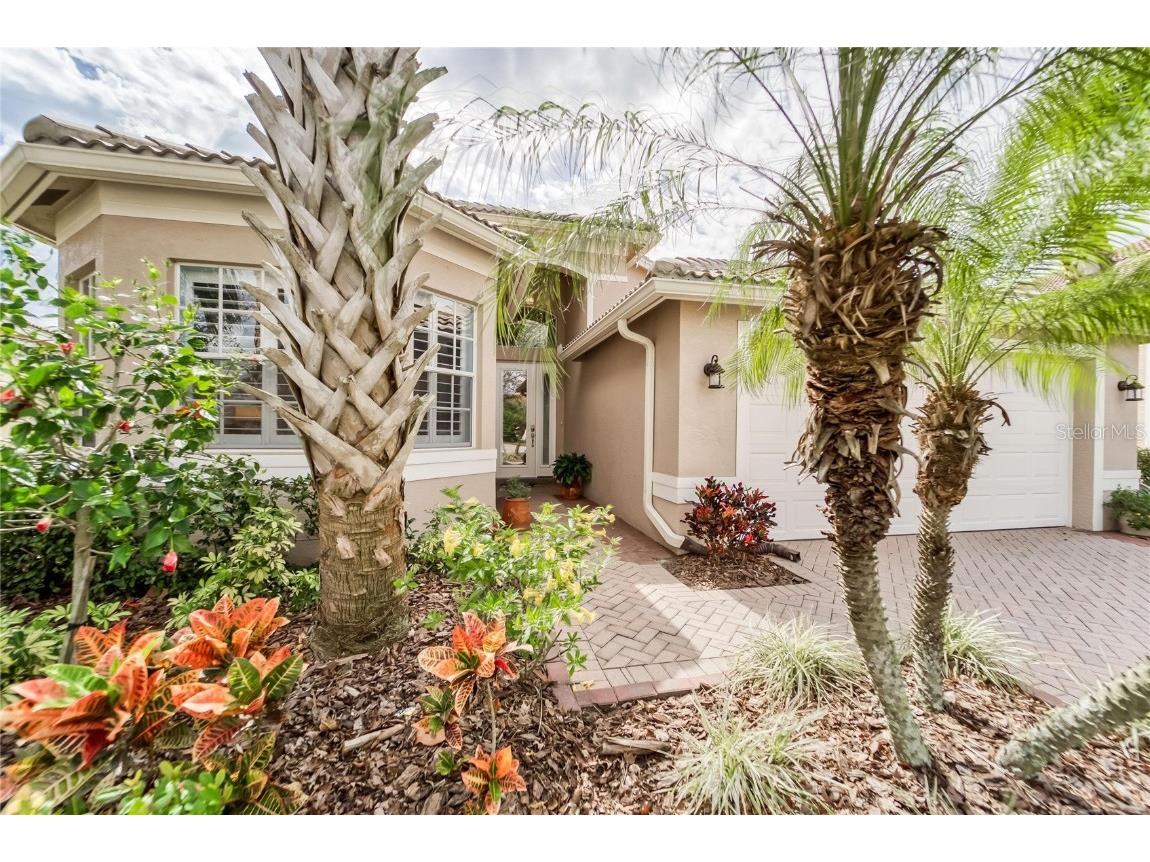 4914 Sandy Brook Circle Wimauma FL 33598 T3360473 image1