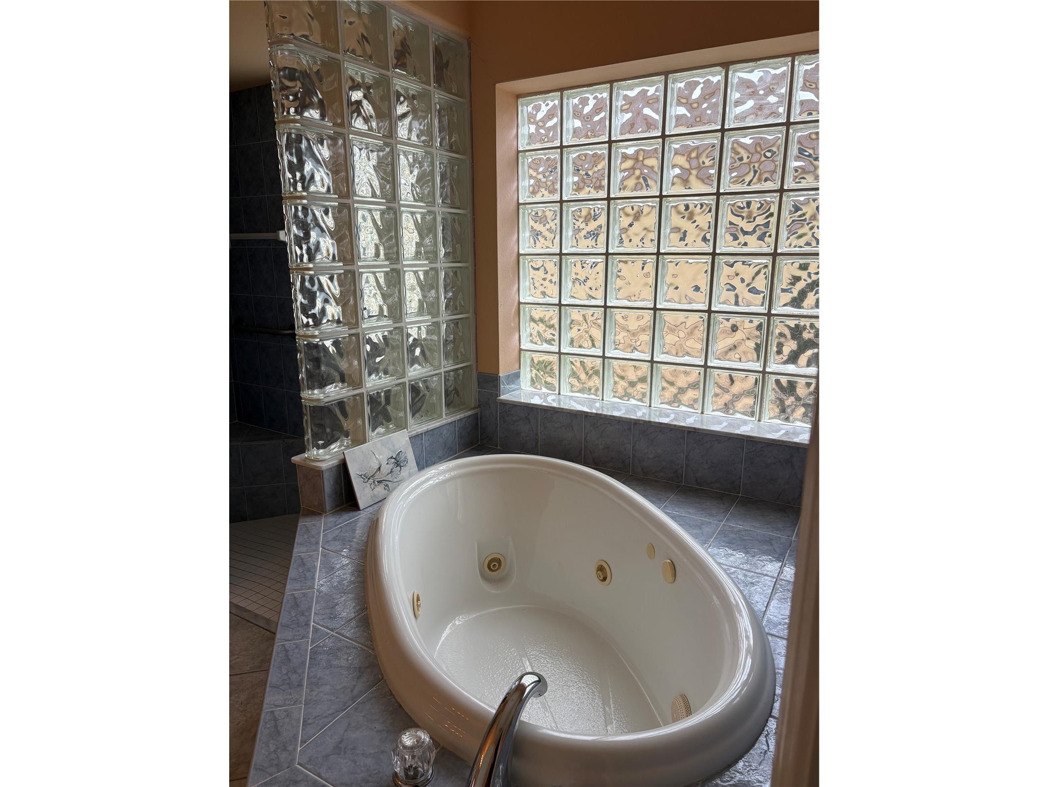 4914 Yellowstone Drive New Port Richey FL 34655 TB8410847 image55