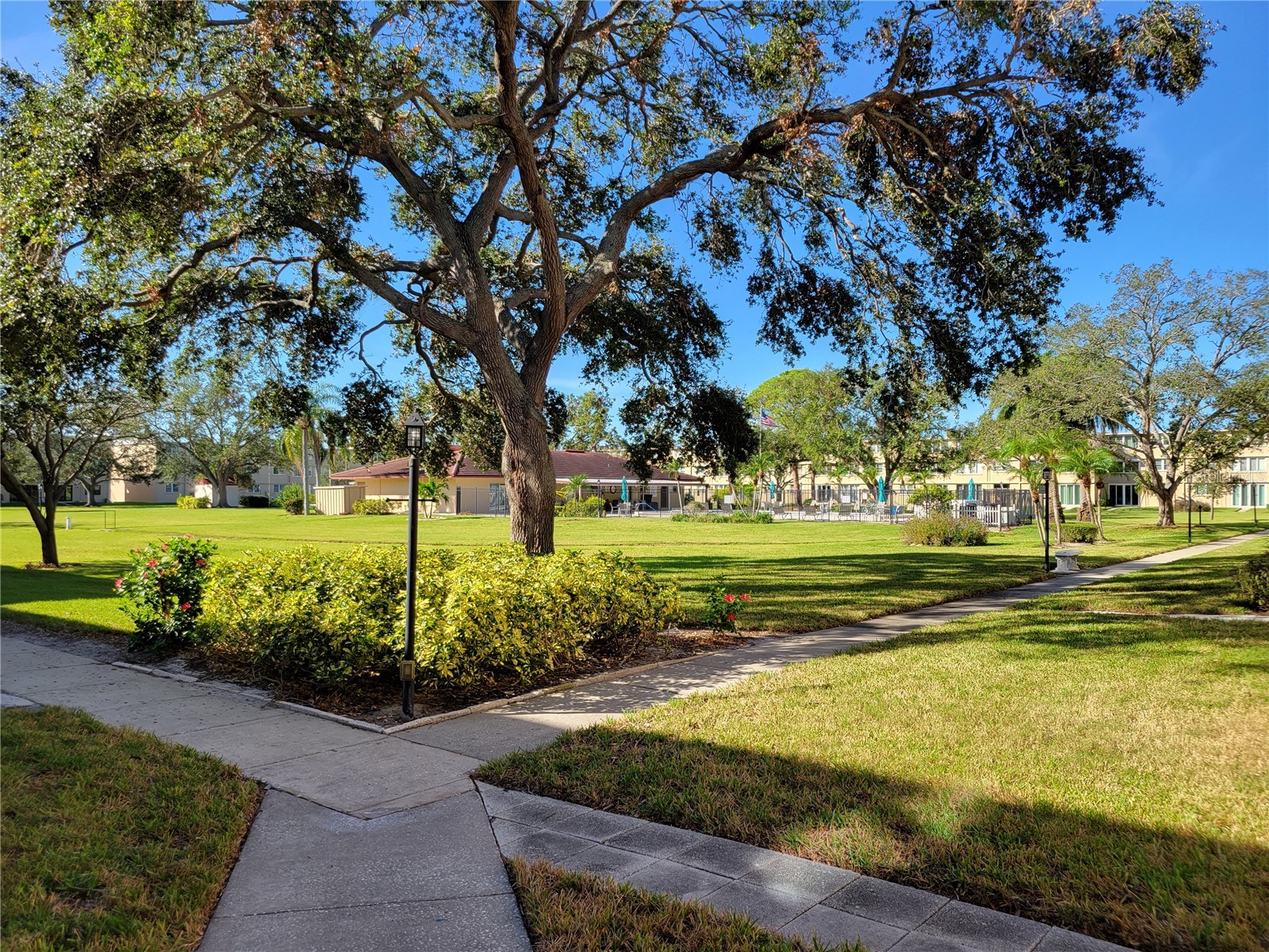 4915 Bay Street NE #122 Saint Petersburg FL 33703 TB8438505 image30