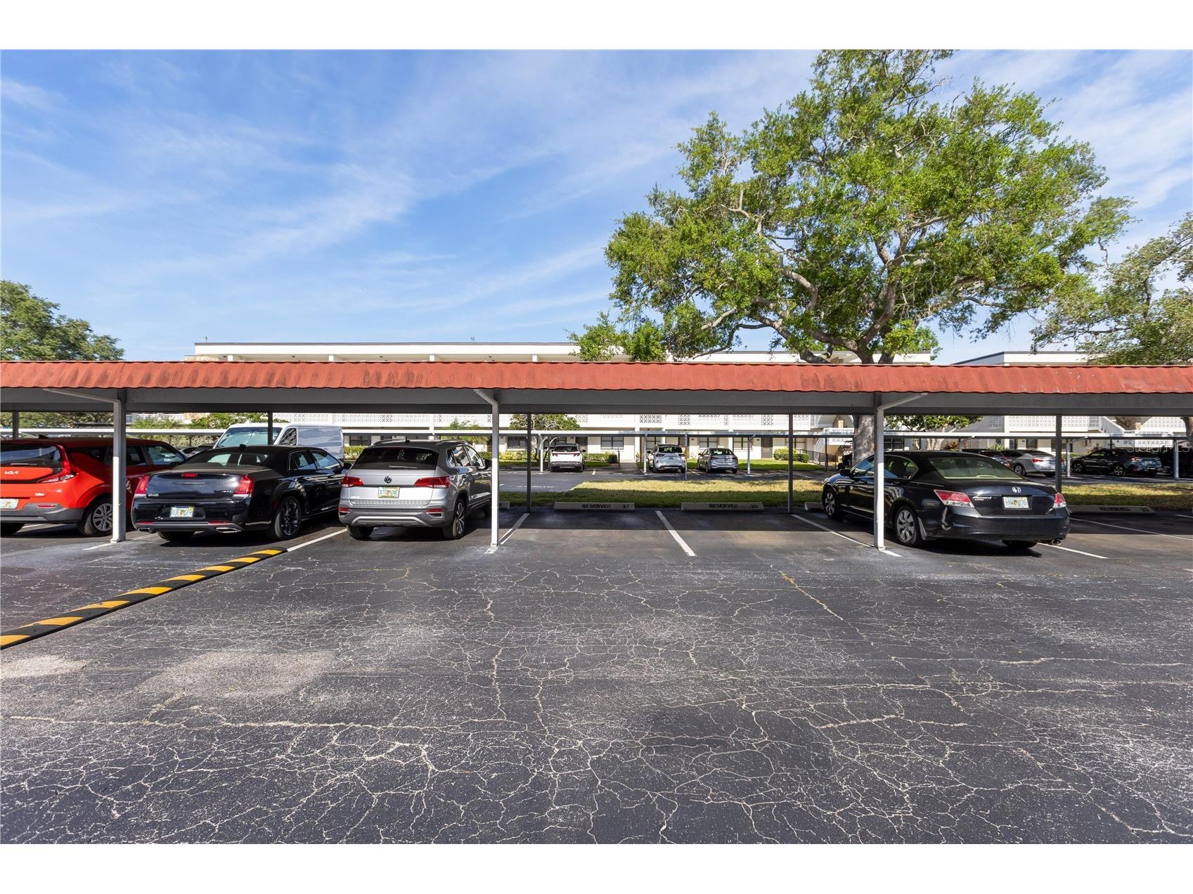4915 Bay Street NE #224 Saint Petersburg FL 33703 TB8504879 image28