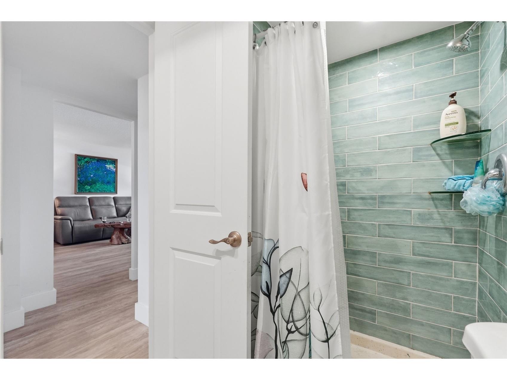 4915 Bay Street NE #323 Saint Petersburg FL 33703 TB8511305 image23