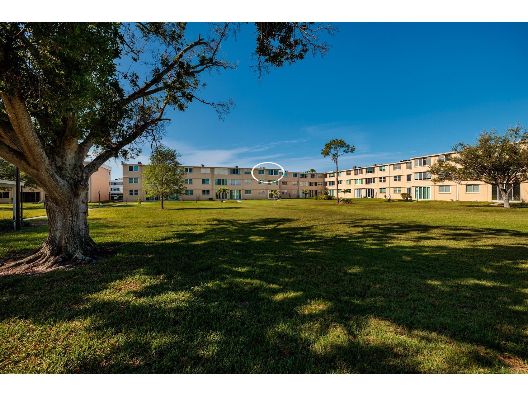 4915 Bay Street NE #331 Saint Petersburg FL 33703 TB8503920 image22