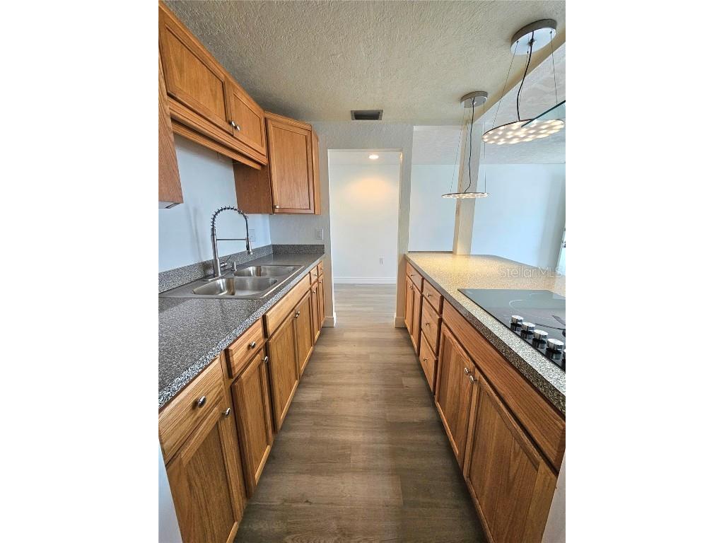 4915 Elkner Street #4915 New Port Richey FL 34652 TB8457745 image5