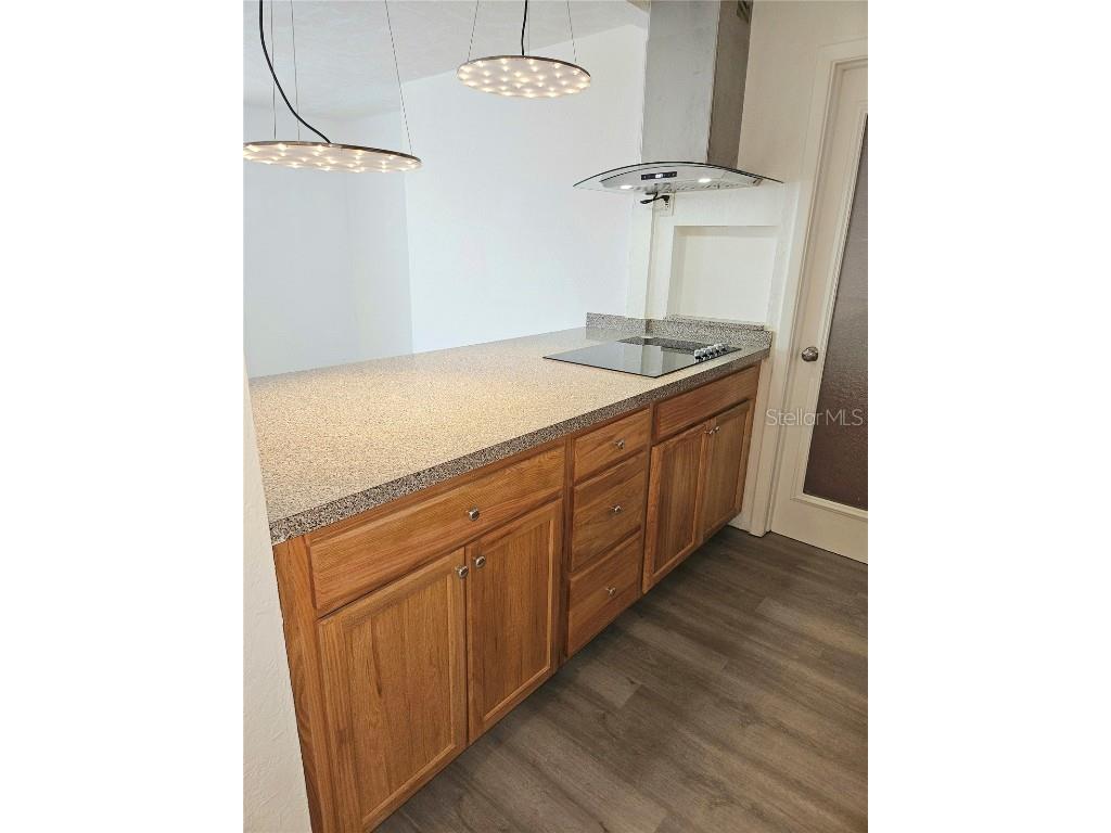 4915 Elkner Street #4915 New Port Richey FL 34652 TB8457745 image6