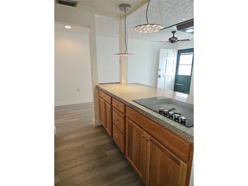 4915 Elkner Street #4915 New Port Richey FL 34652 TB8457745 image8