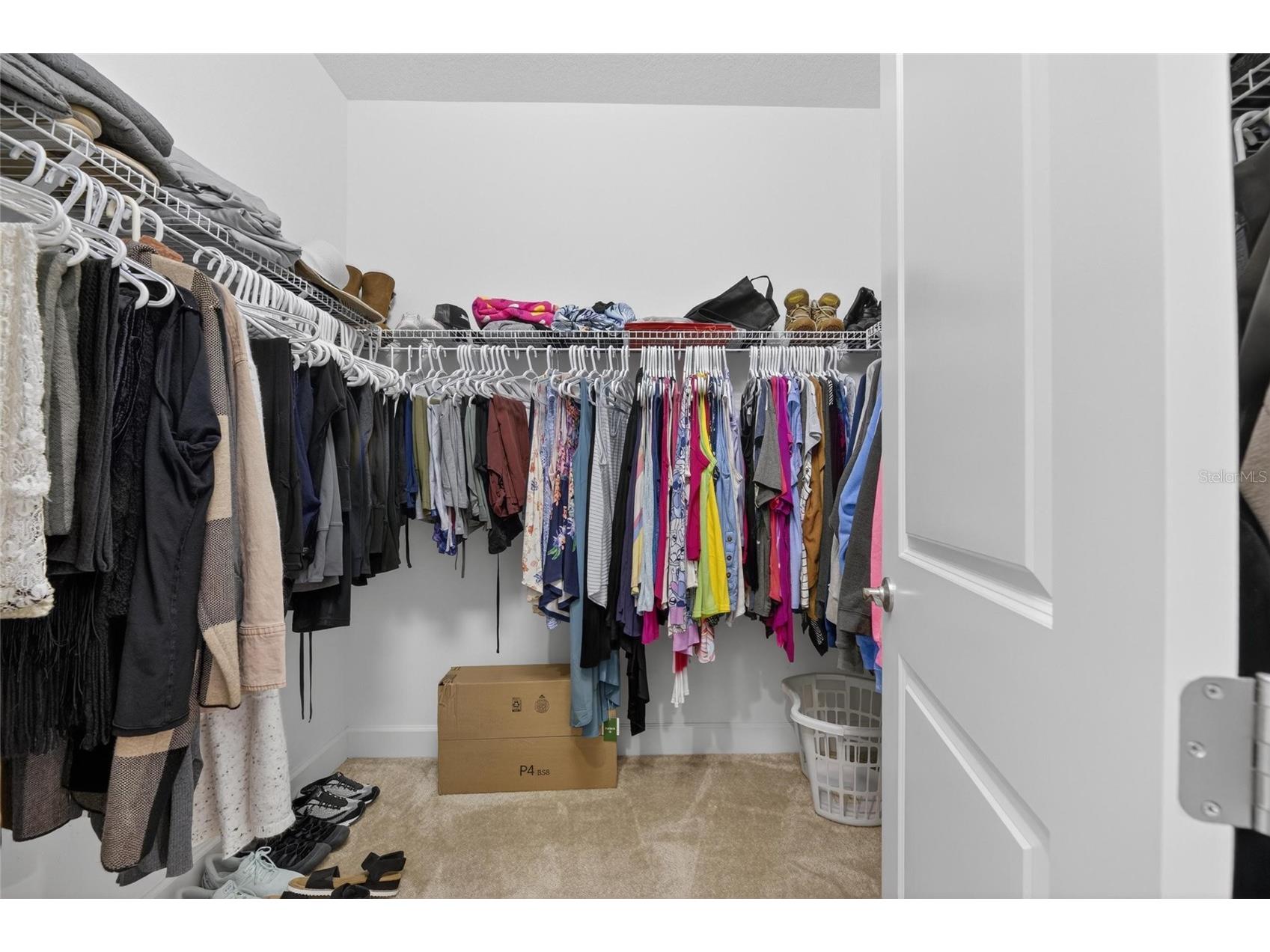 4915 Sienna Isles Avenue Wimauma FL 33598 TB8502702 image32