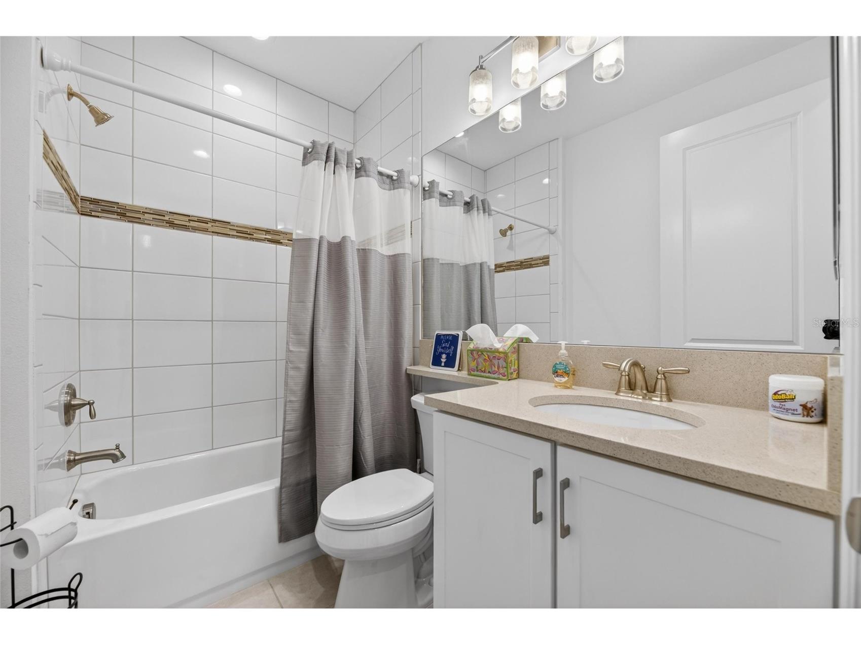 4915 Sienna Isles Avenue Wimauma FL 33598 TB8502702 image35
