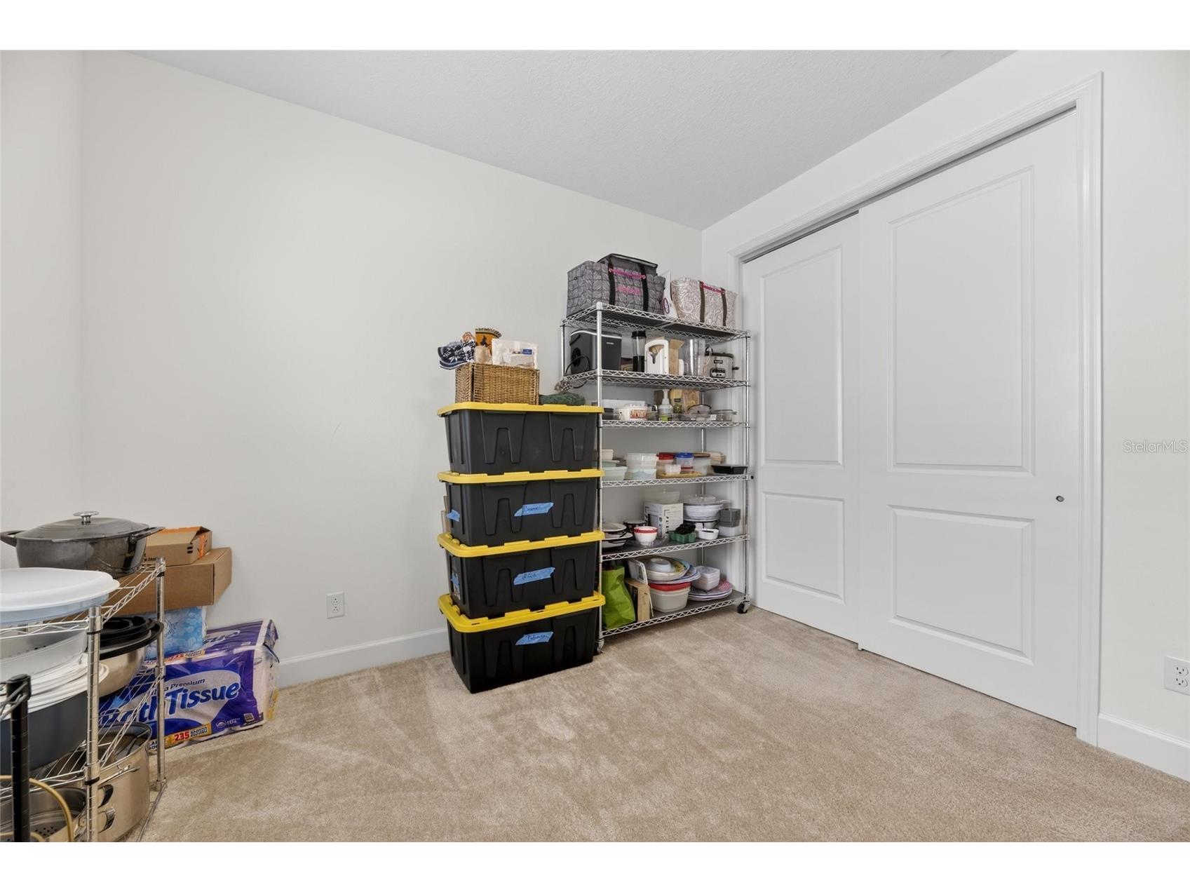 4915 Sienna Isles Avenue Wimauma FL 33598 TB8502702 image37