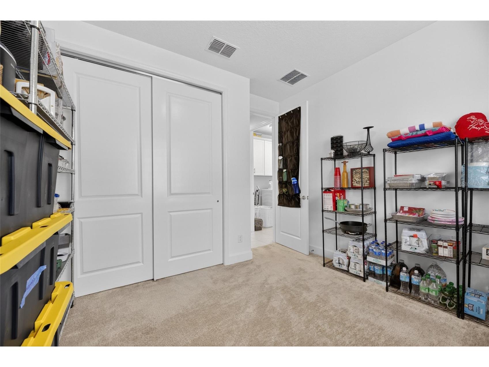 4915 Sienna Isles Avenue Wimauma FL 33598 TB8502702 image38