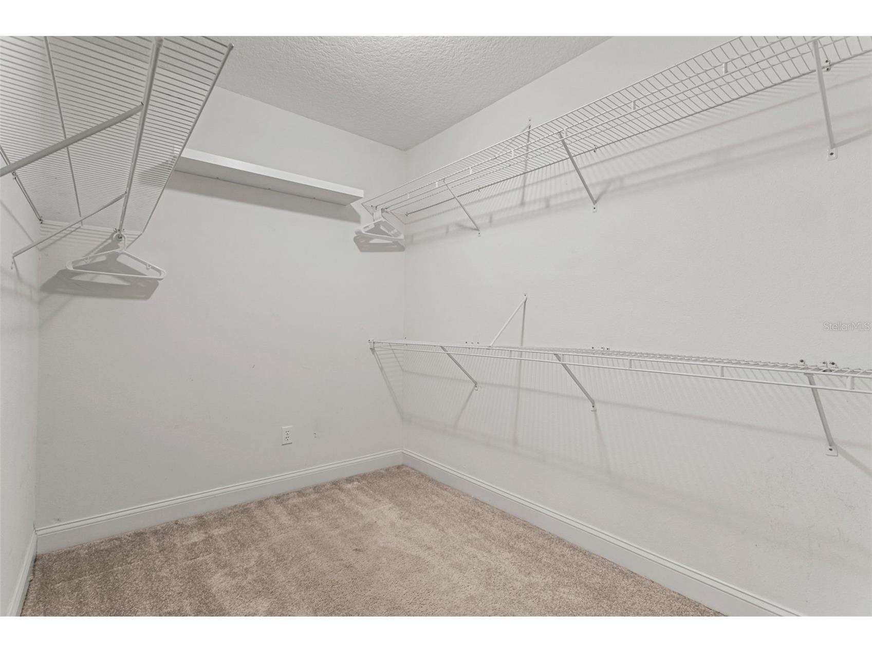 4915 Troydale Road Tampa FL 33615 - WOODS CREEK TO OLD TAMPA BAY TB8515012 image53