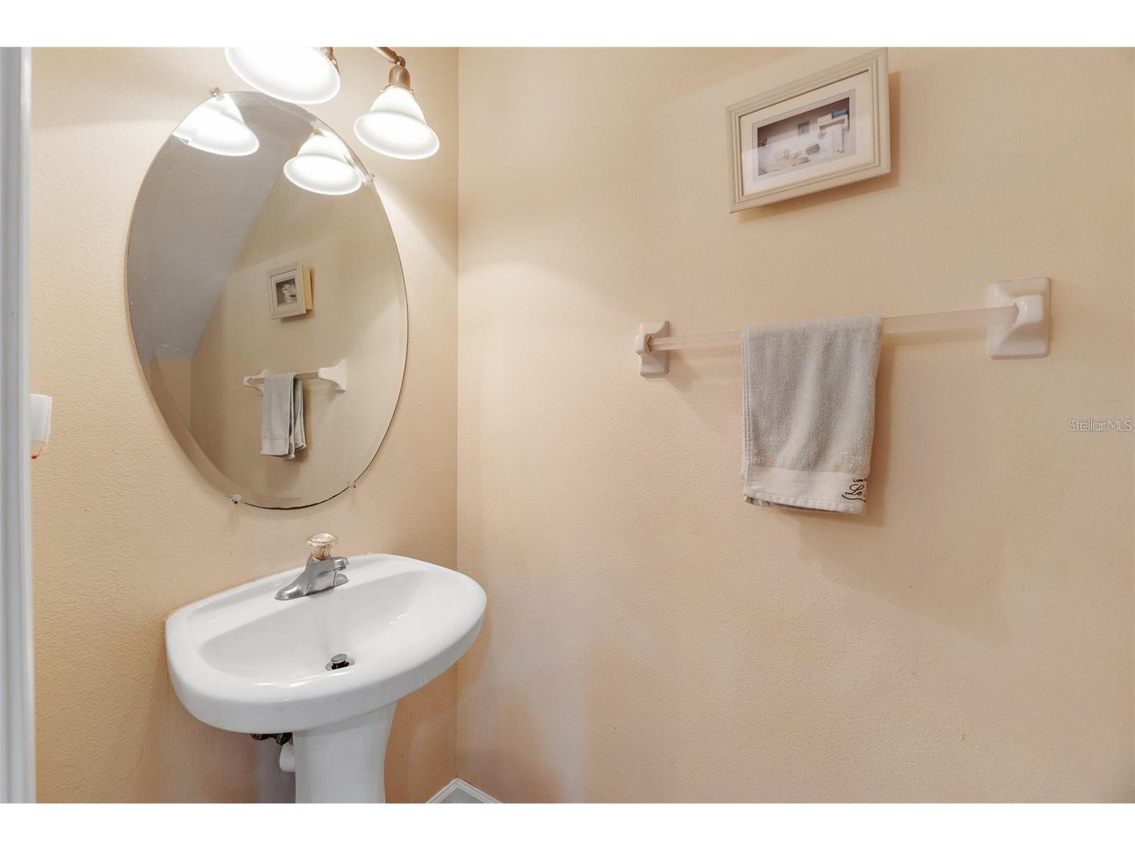 4916 Barnstead Drive Riverview FL 33578 TB8485354 image12