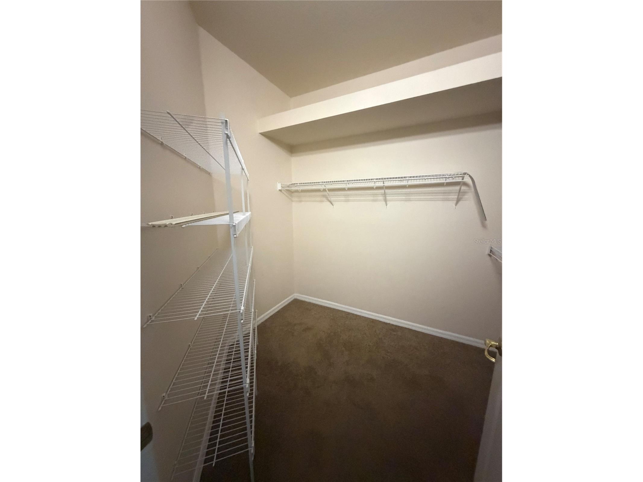 4916 Cape Hatteras Drive Clermont FL 34714 G5114025 image15