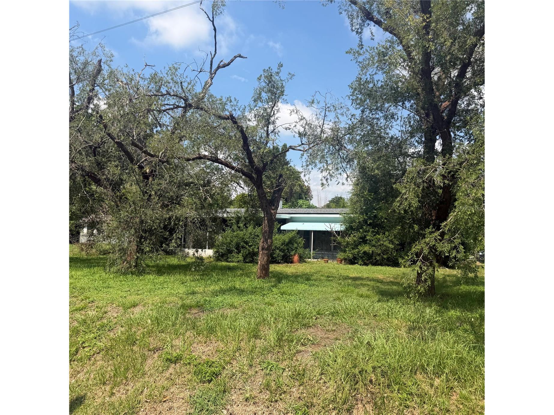 4916 Eli Street Orlando FL 32804 O6425549 image1