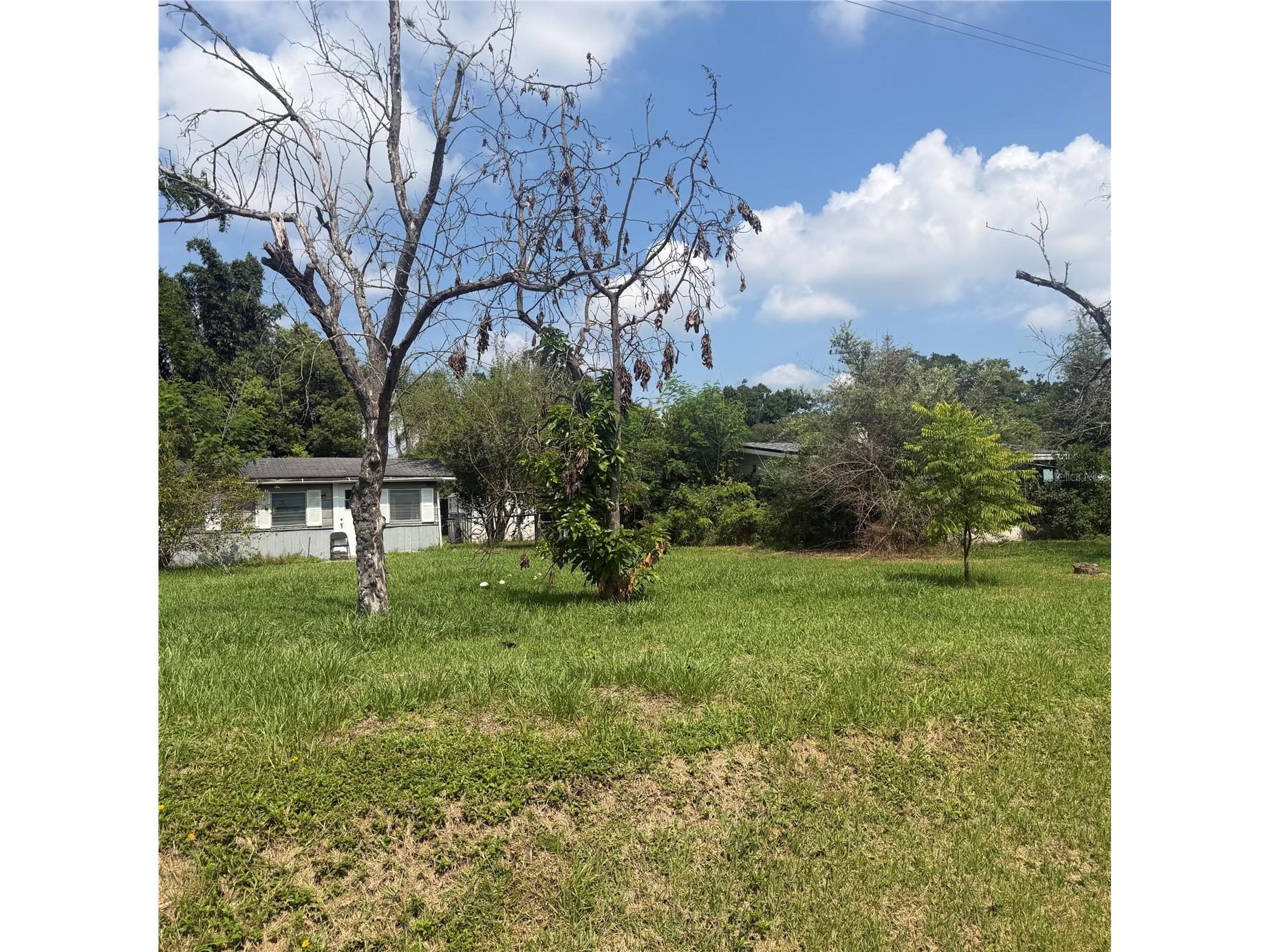 4916 Eli Street Orlando FL 32804 O6425549 image3