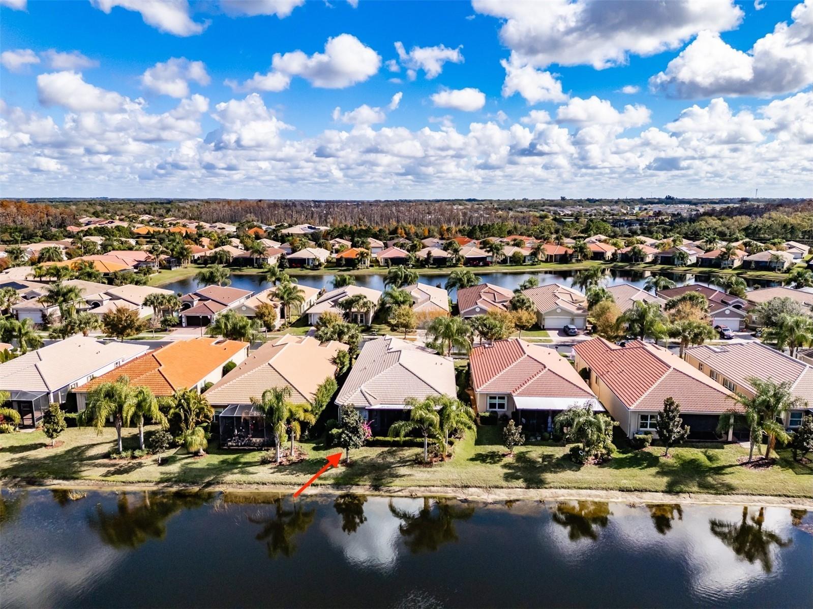 4916 Grand Banks Drive Wimauma FL 33598 TB8463197 image46