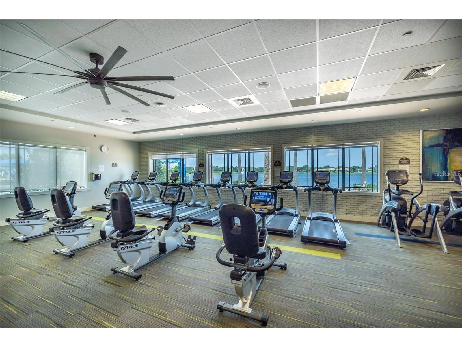 4916 Grand Banks Drive Wimauma FL 33598 TB8463197 image75