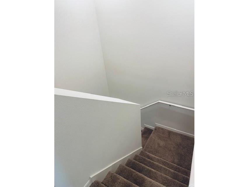 4916 Gulf Waters Drive New Port Richey FL 34652 TB8526255 image24