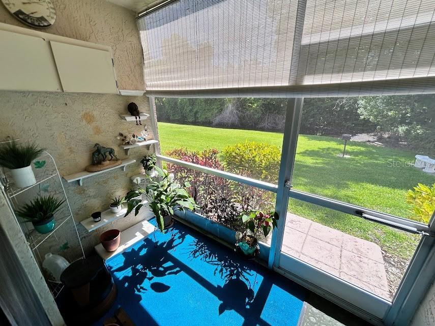 4916 Sunnybrook Drive #14 New Port Richey FL 34653 W7886813 image11