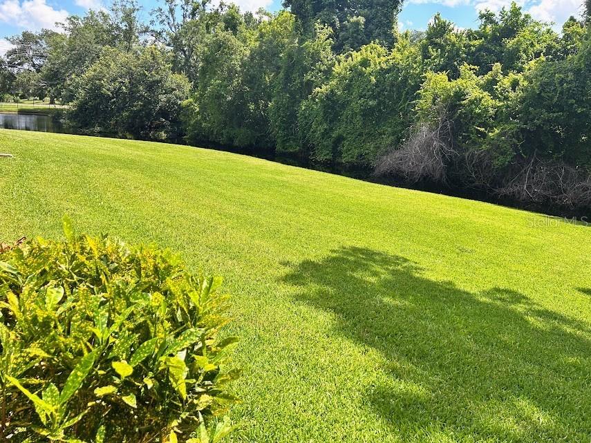 4916 Sunnybrook Drive #14 New Port Richey FL 34653 W7886813 image15