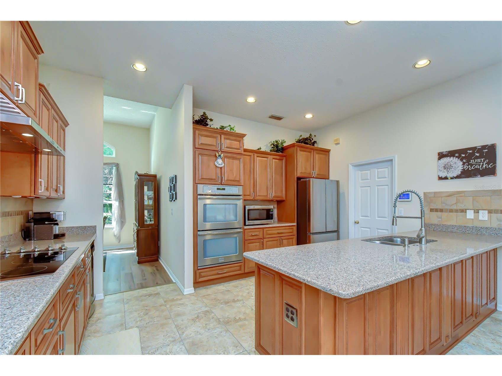 4916 Willow Ridge Terrace Valrico FL 33596 TB8524820 image13