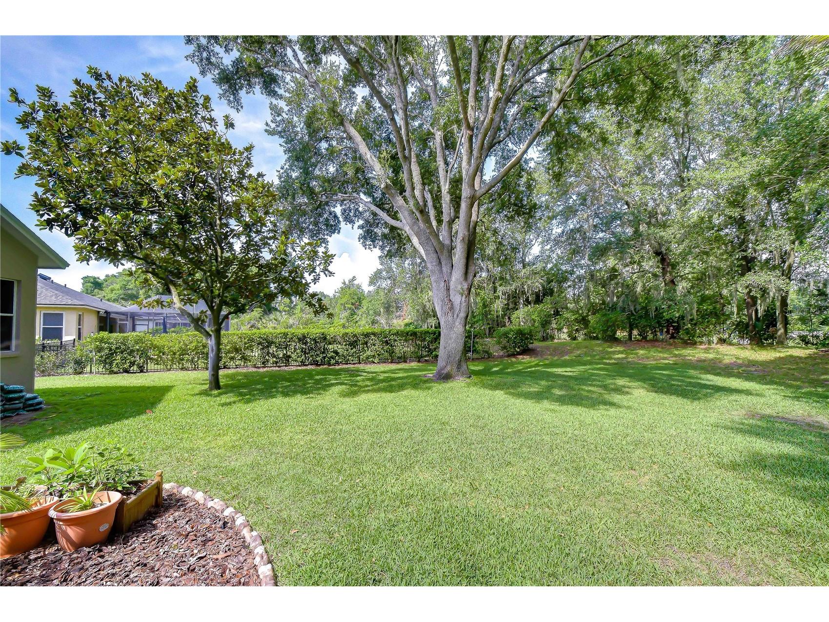 4916 Willow Ridge Terrace Valrico FL 33596 TB8524820 image32