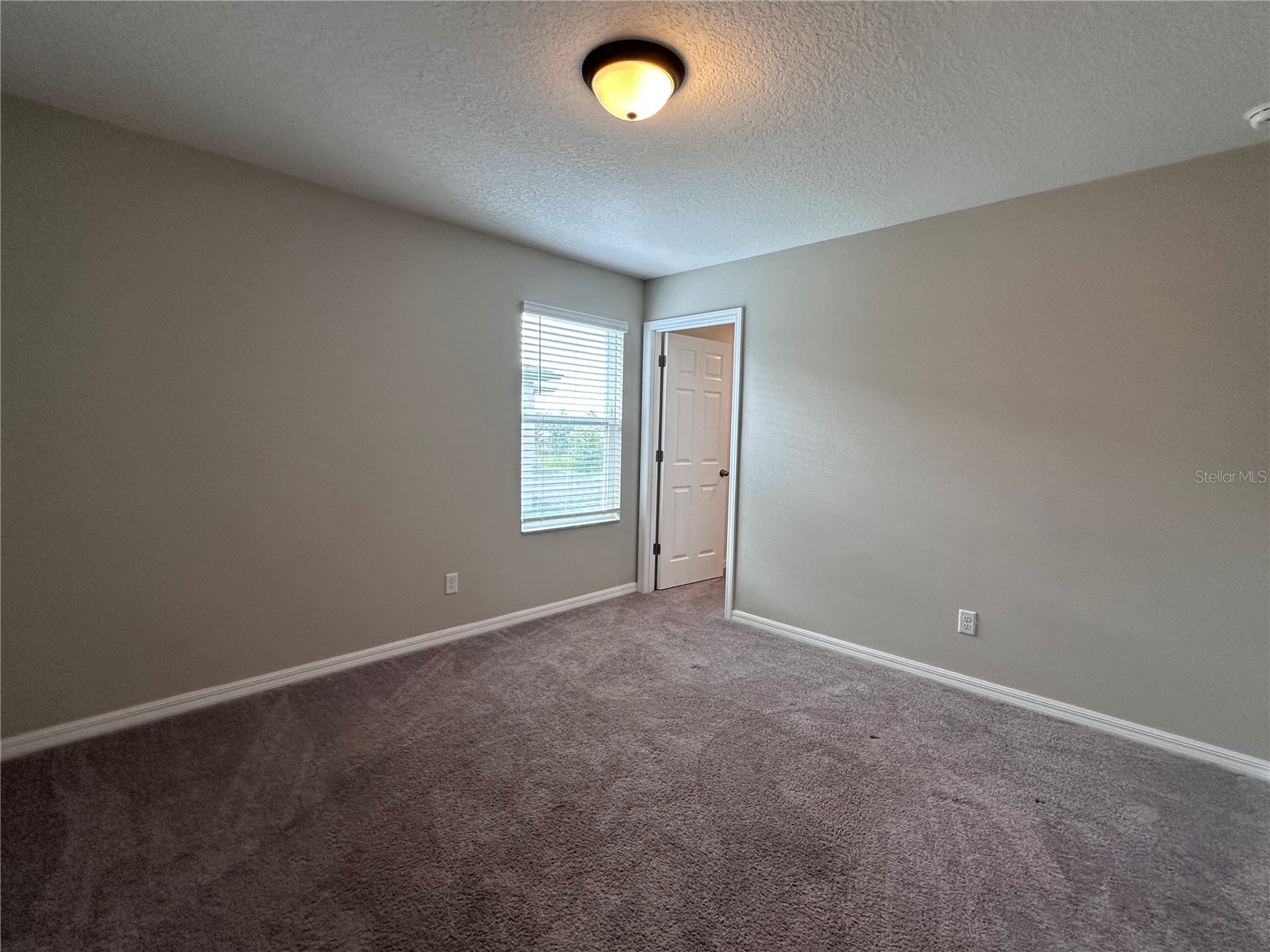 4917 Eagle Rock Drive Wimauma FL 33598 TB8531334 image29