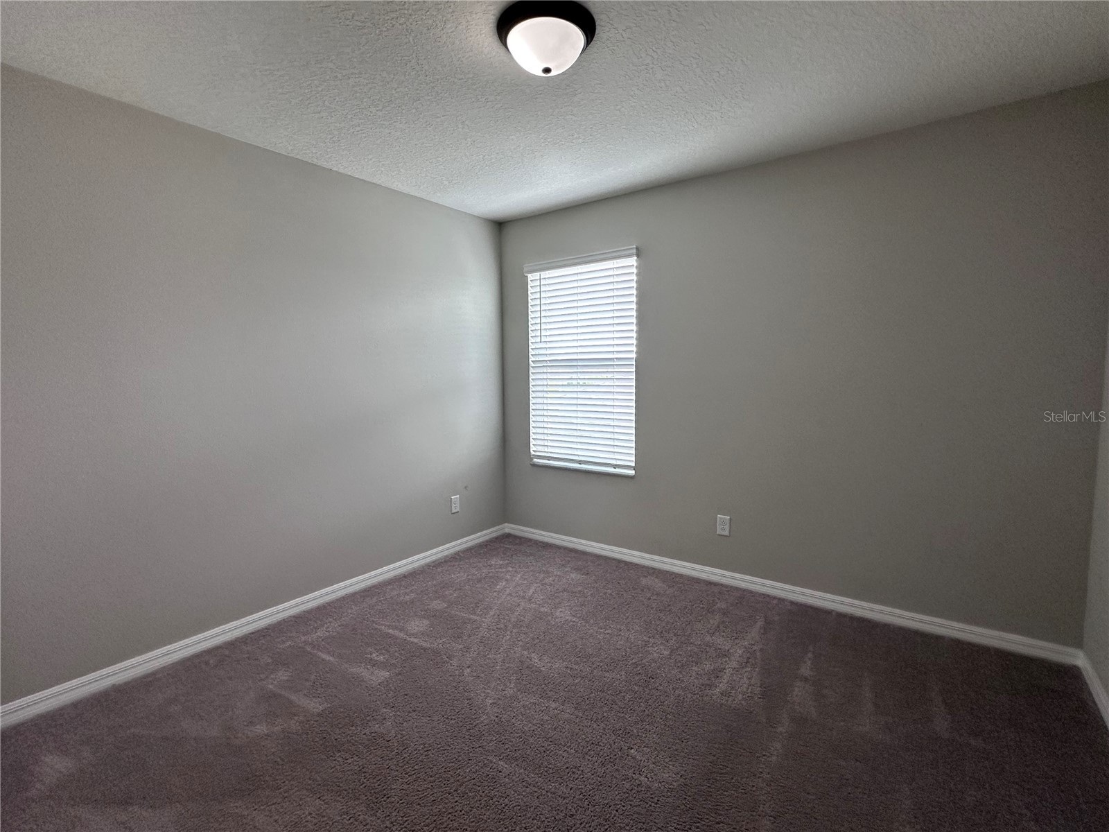 4917 Eagle Rock Drive Wimauma FL 33598 TB8531334 image34
