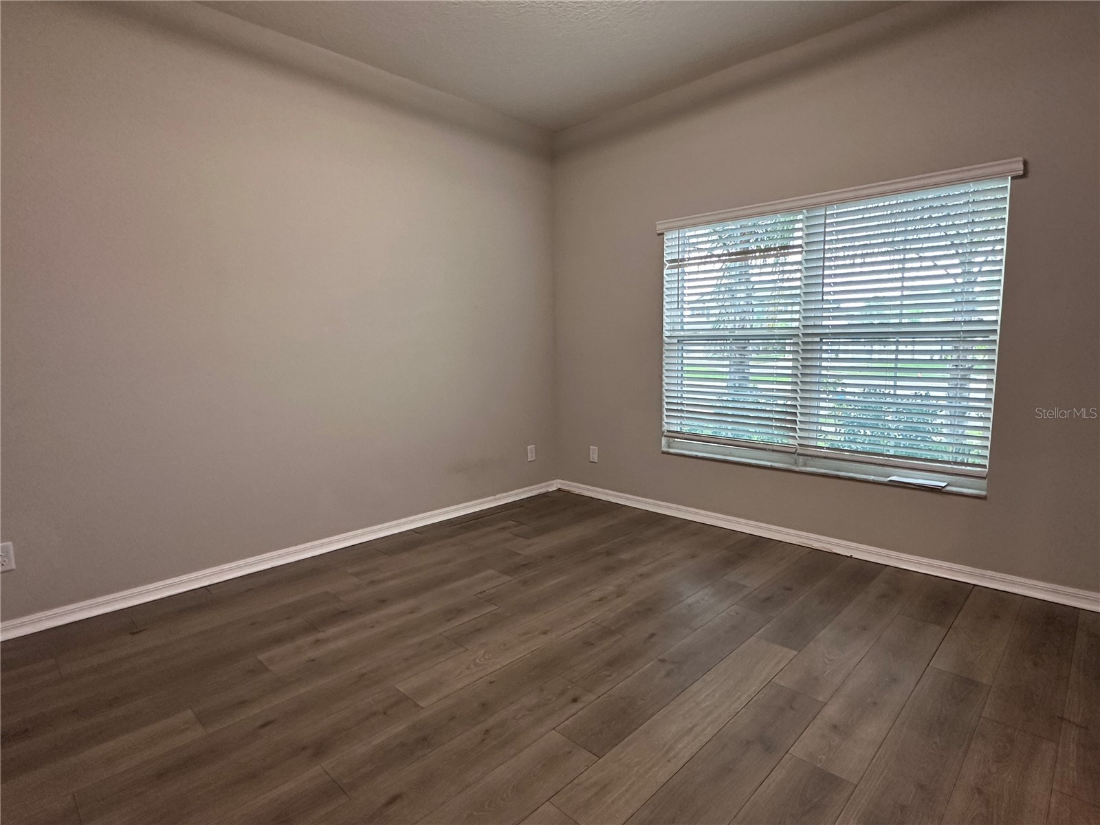 4917 Eagle Rock Drive Wimauma FL 33598 TB8531334 image6