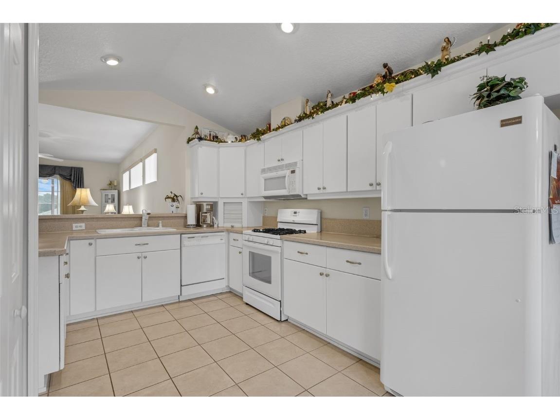 4917 Kelso Street Leesburg FL 34748 G5100437 image20