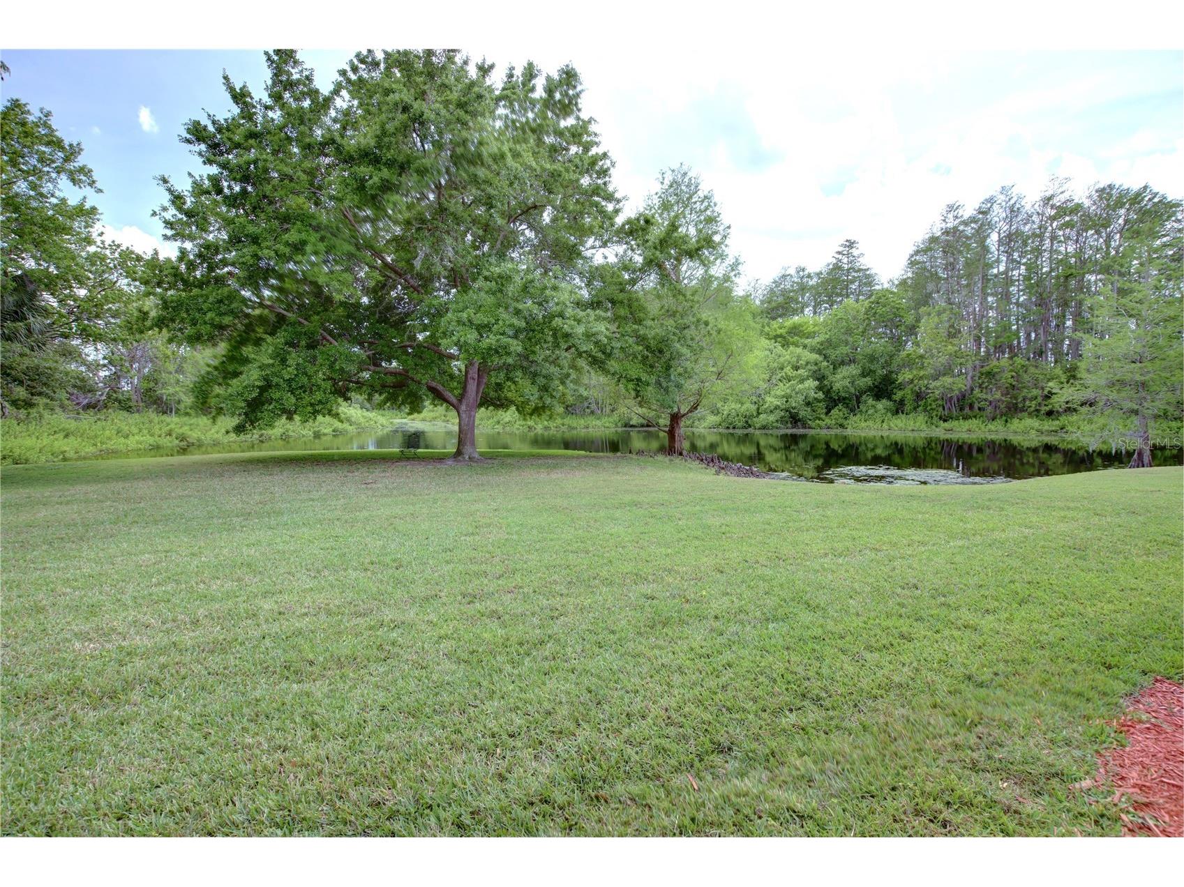 4917 Walden Circle Orlando FL 32811 O6390728 image24