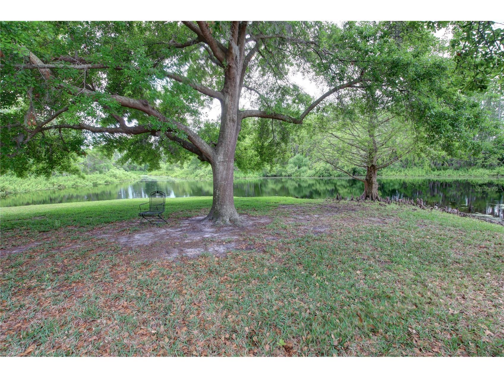 4917 Walden Circle Orlando FL 32811 O6390728 image25