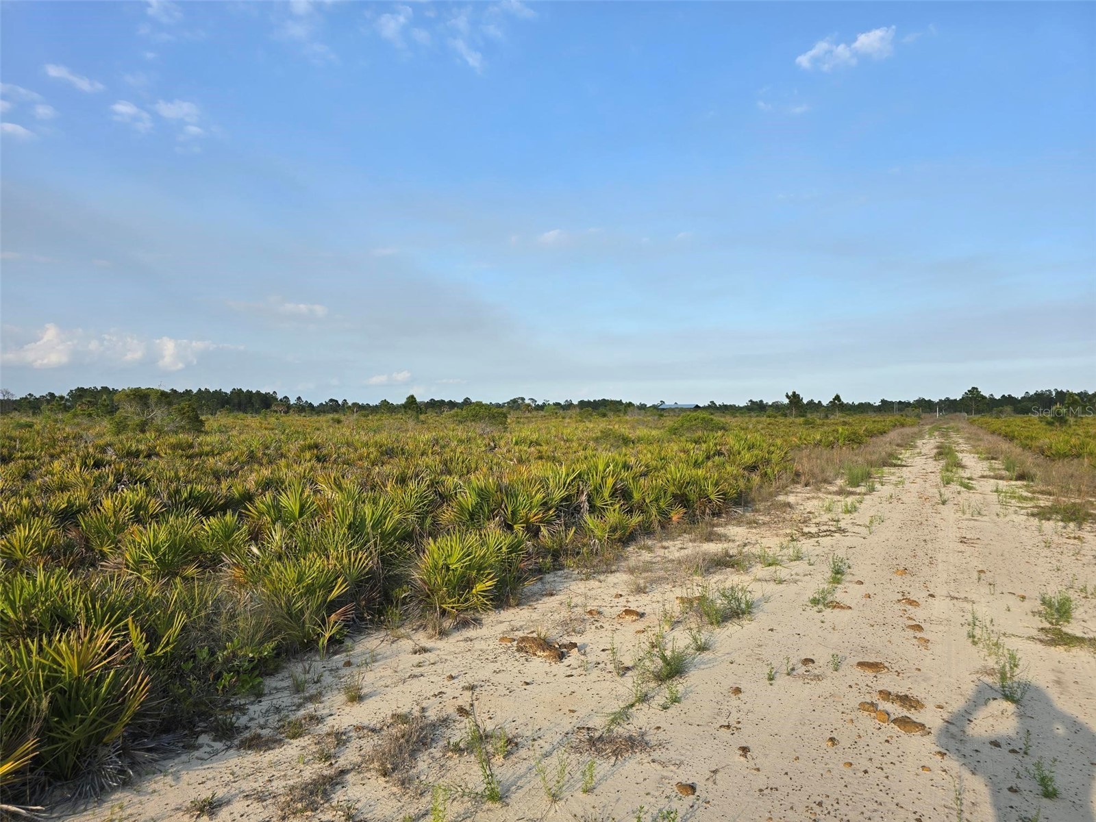 49173 Bermont Road Punta Gorda FL 33982 A4692295 image5