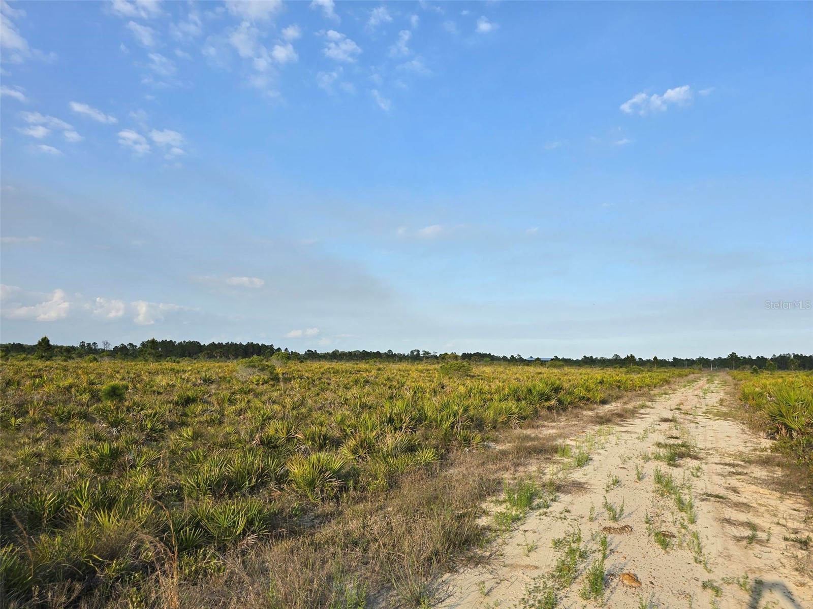 49173 Bermont Road Punta Gorda FL 33982 A4692295 image6