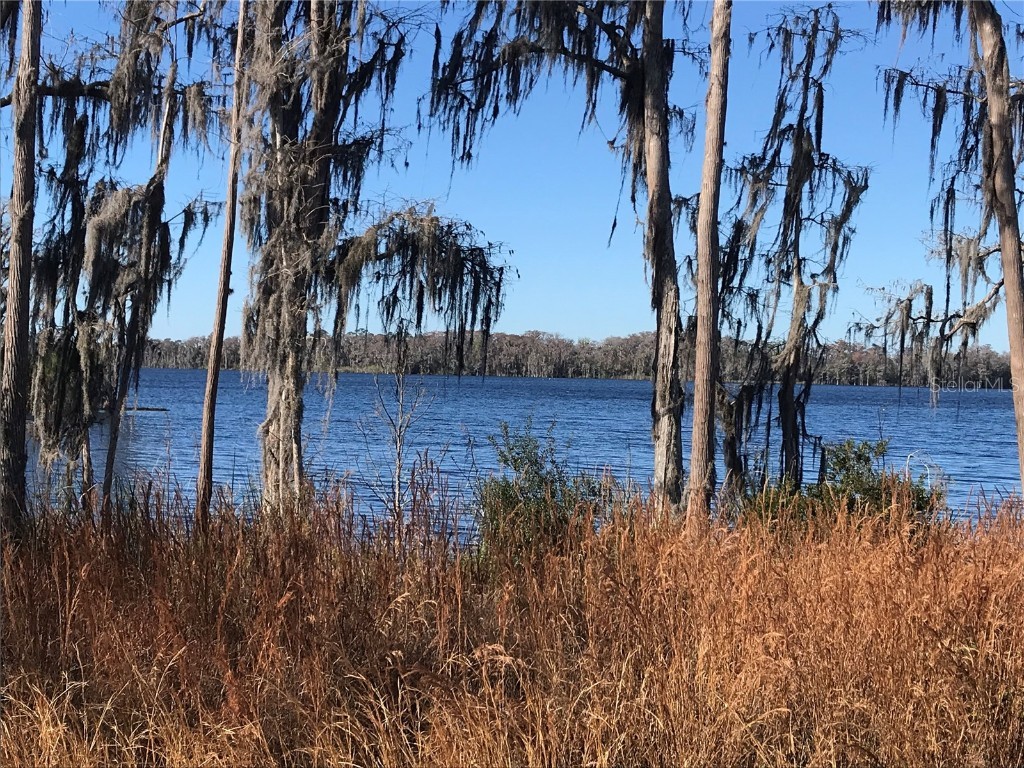 4918 N Fort Christmas Road Christmas FL 32709 - LAKE PICKETT O6176510 image2