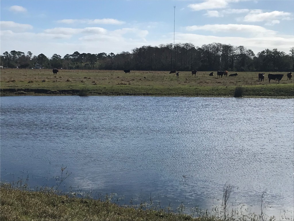 4918 N Fort Christmas Road Christmas FL 32709 - LAKE PICKETT O6176510 image4