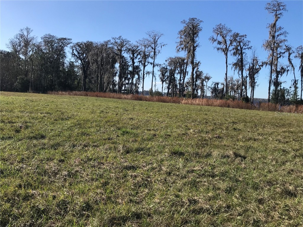 4918 N Fort Christmas Road Christmas FL 32709 - LAKE PICKETT O6176510 image6