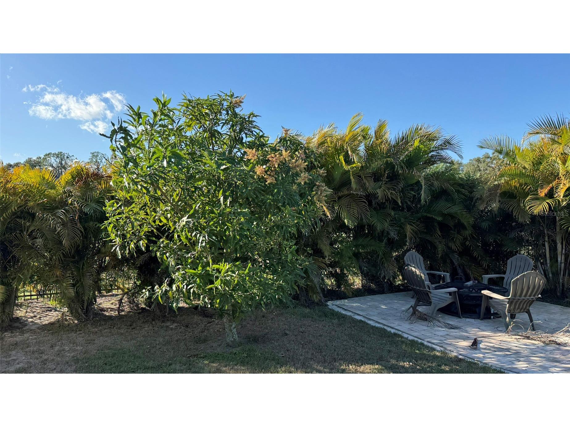 4918 Old Berkley Road Auburndale FL 33823 L4955575 image47