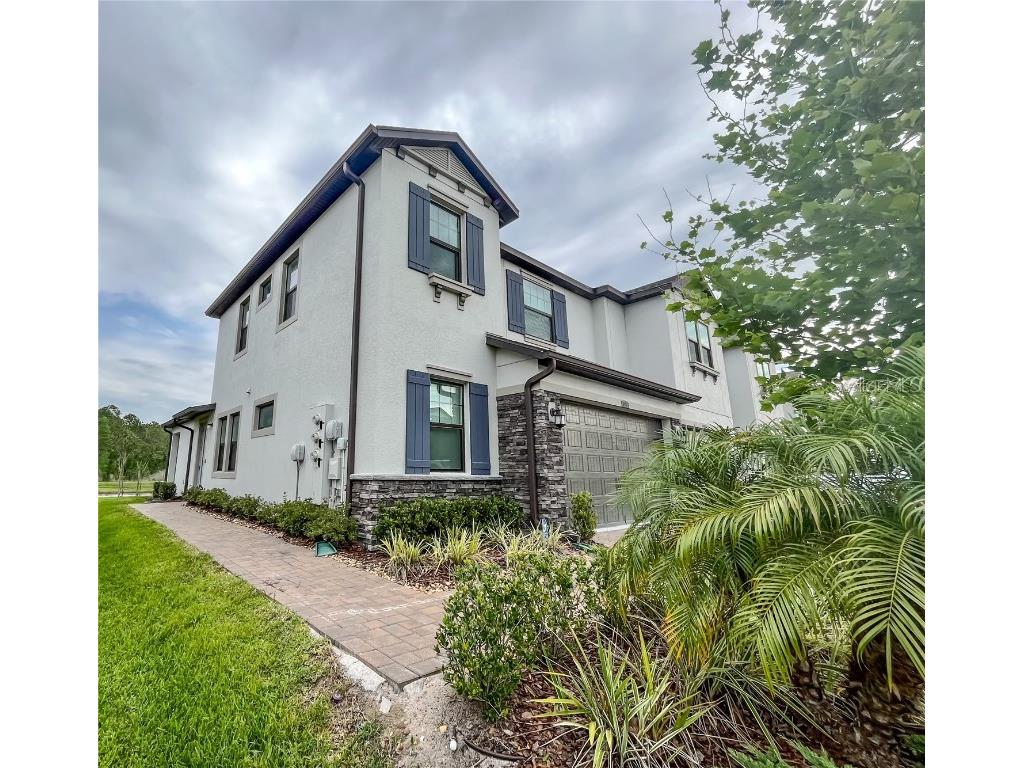 4918 San Martino Dr Drive Wesley Chapel FL 33543 T3448113 image1