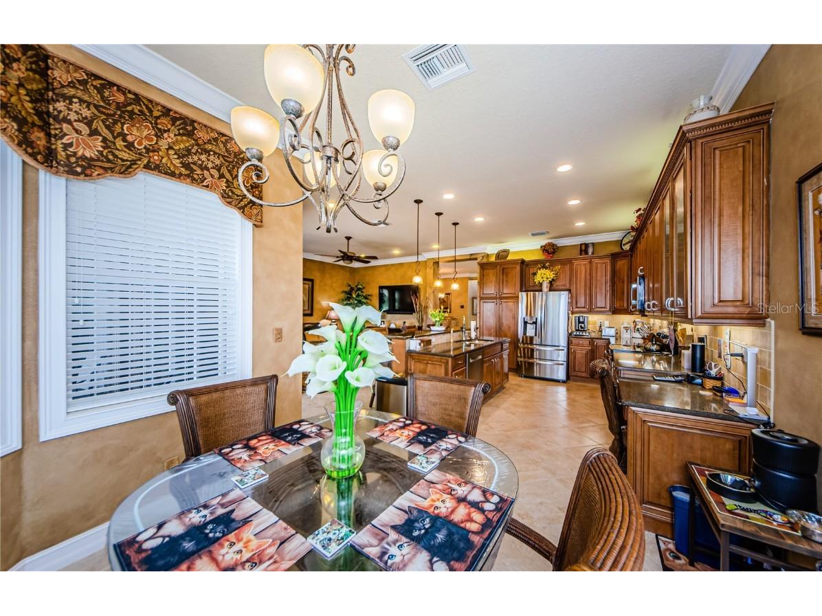 4918 Sandy Brook Circle Wimauma FL 33598 TB8411418 image24