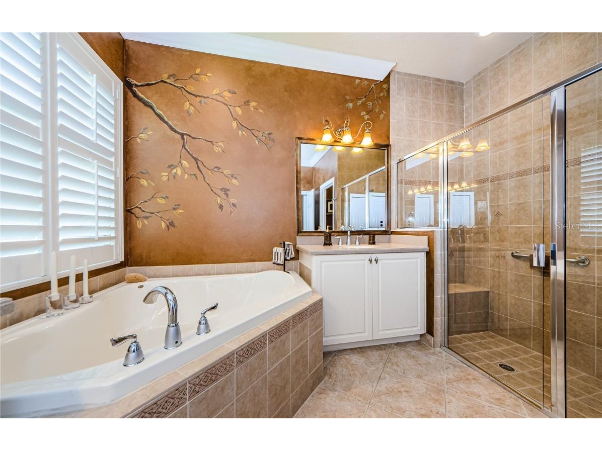 4918 Sandy Brook Circle Wimauma FL 33598 TB8411418 image30