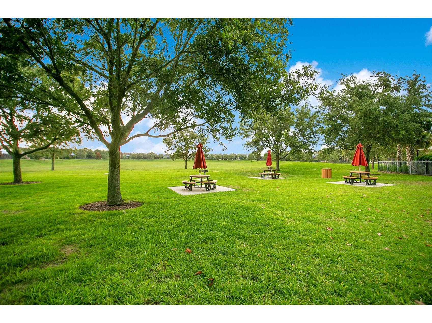 4918 Wildwood Pointe Road Winter Garden FL 34787 S5150274 image25