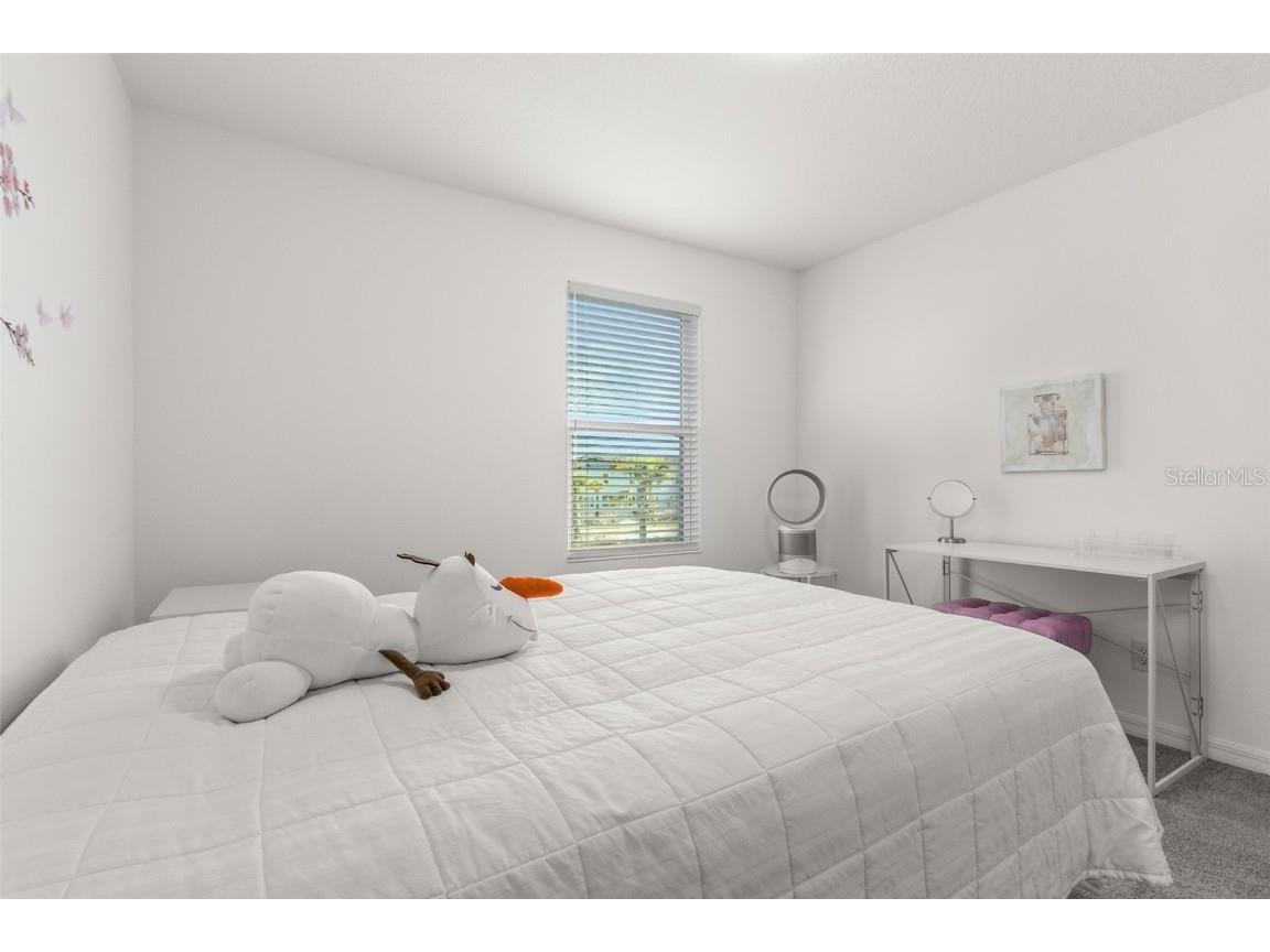 4919 Conifer Cone Drive Kissimmee FL 34746 S5115095 image24