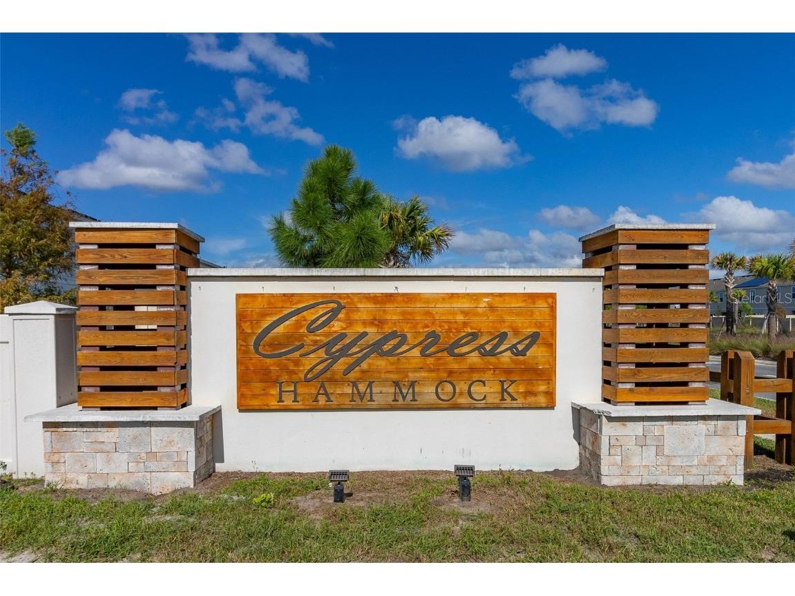 4919 Conifer Cone Drive Kissimmee FL 34746 S5115095 image46