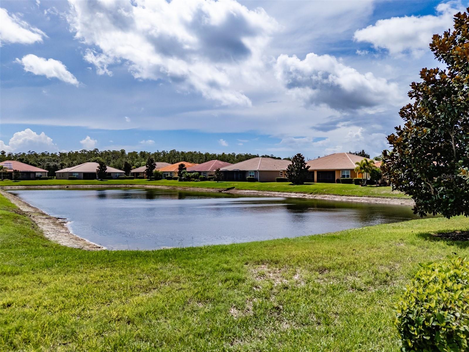 4919 Marble Springs Circle Wimauma FL 33598 TB8531577 image43