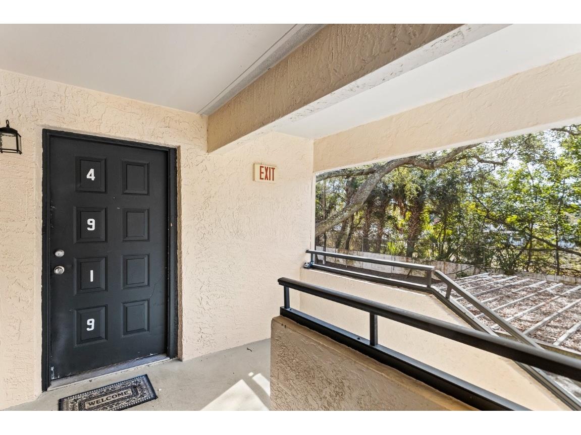 4919 Puritan Circle #125 Tampa FL 33617 U8188332 image1